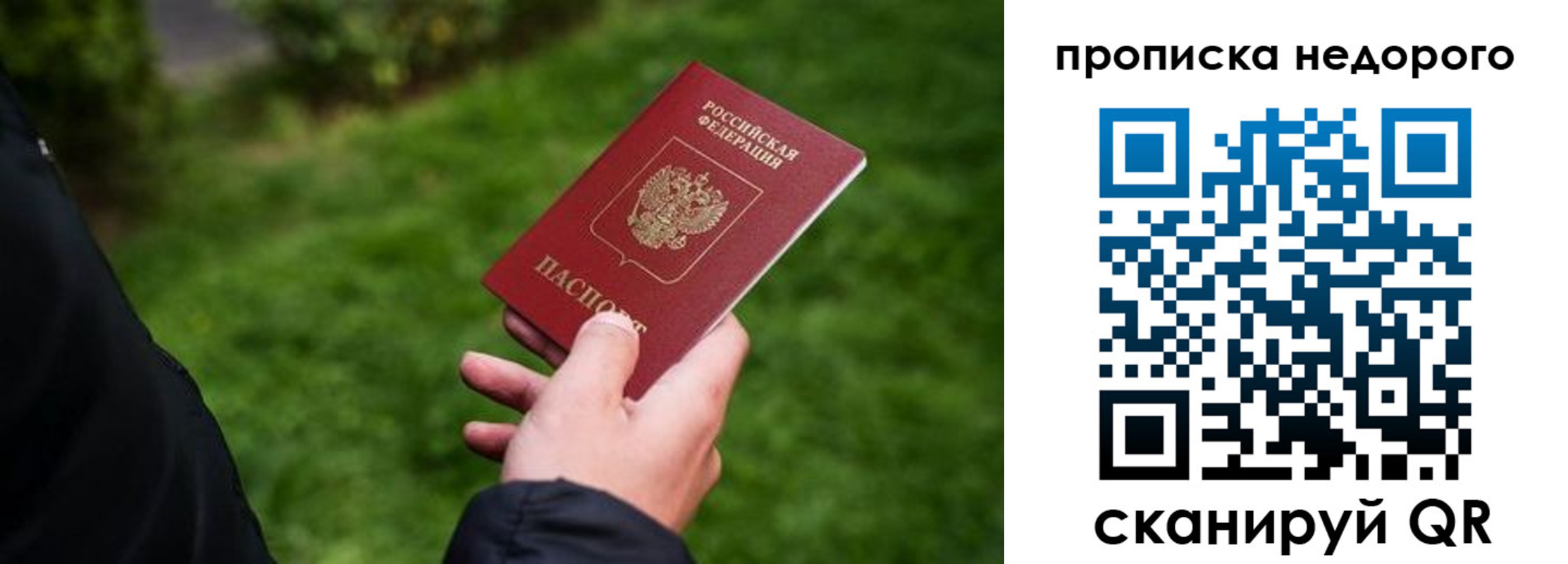 временная регистрация поиск в Вязьме